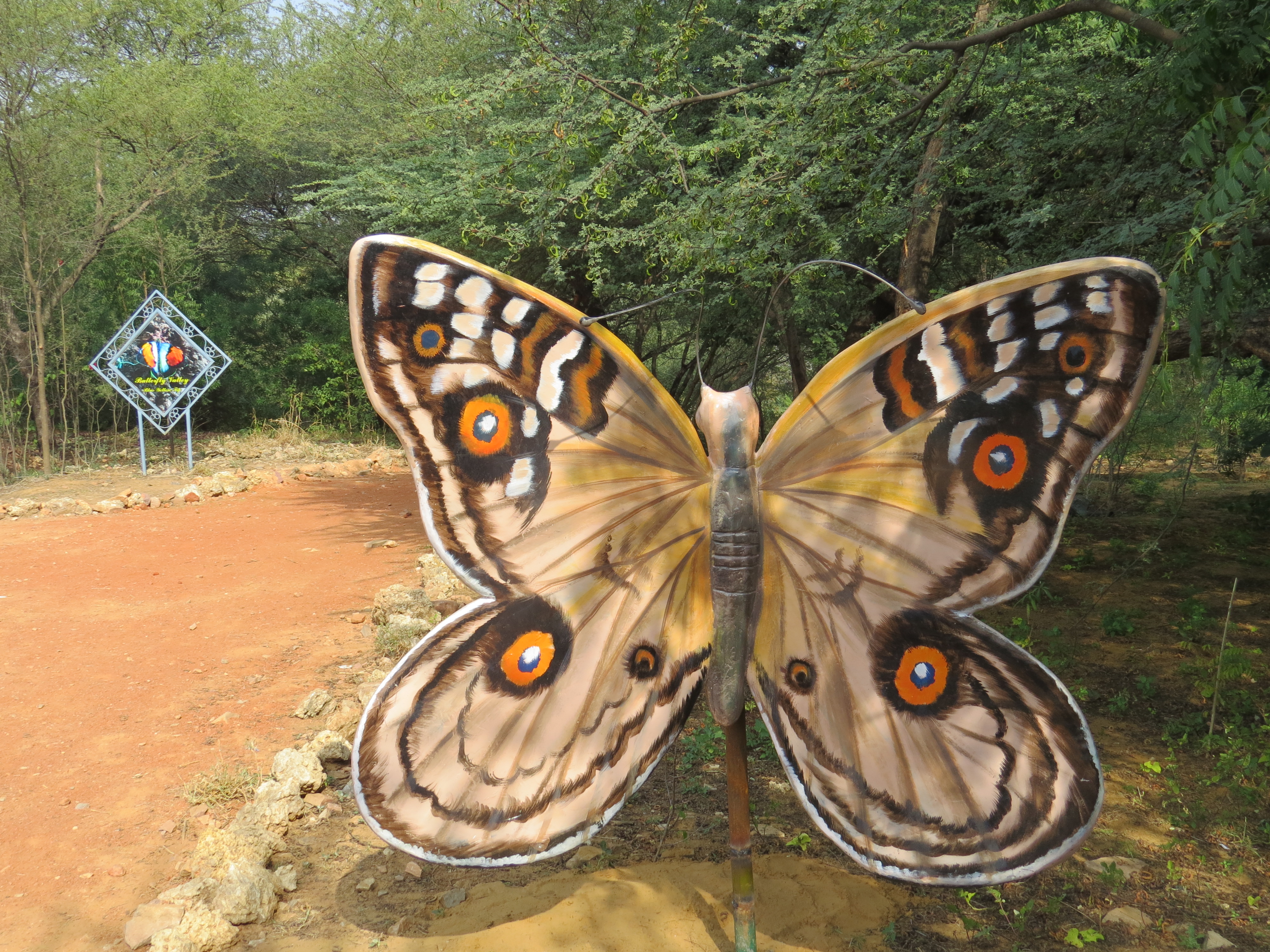 Butterfly valley in Simriti Ban,JLN Marg,Jaipur